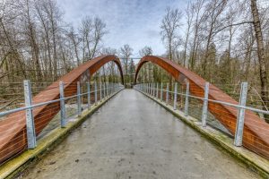 Parham Baghaie Hunter North Vancouver Court Order forclosure