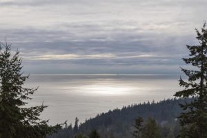 262976434-33325979-edb3-4d60-a0e6-17c7f8e16611