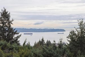 262976434-56a2a0b0-0bd5-41d0-bd95-b6bd92716f5a