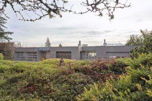 262976434-8d26d0d0-6f10-438c-94e6-fe4197e37e2d