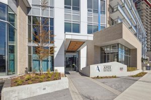 Parham-Baghaie-Apex-1