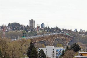 Parham-Baghaie-Apex-10