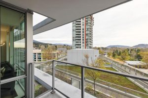 Parham-Baghaie-Apex-13