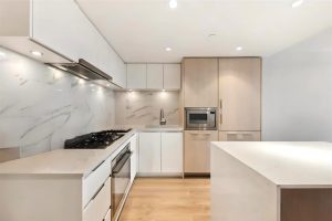 Parham-Baghaie-Apex-18