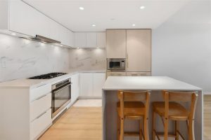 Parham-Baghaie-Apex- 20 