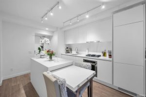 Parham-Baghaie-Burquitlam-coquitlam-west-21
