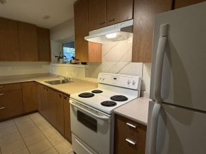 Parham-Baghaie-Coquitlam-26 (1) (1) (1) (1) (1) (1)