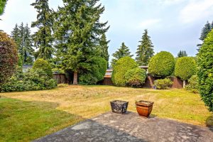 Parham-Baghaie-Coquitlam-west-33