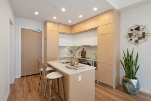 Parham-Baghaie-Downtown-1205-Howe-Street-12 (1)
