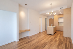 Parham-Baghaie-Downtown-1205-Howe-Street-13 (1)