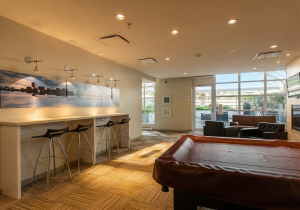 Parham-Baghaie-Downtown-1205-Howe-Street-9 (1)