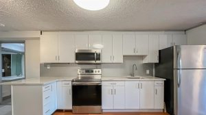 Parham-Baghaie-Maple-Ridge-17 (1) (1) (1) (1)