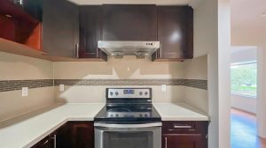 Parham-Baghaie-Maple-Ridge-7 (1) (1) (1) (1)