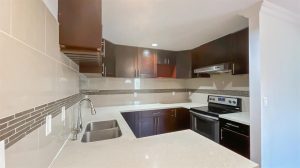 Parham-Baghaie-Maple-Ridge-8 (1) (1) (1) (1)