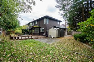 Parham-Baghaie-Surrey-21