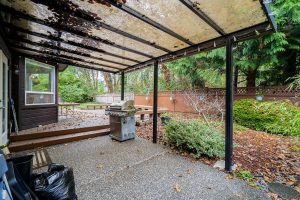 Parham-Baghaie-Surrey-22